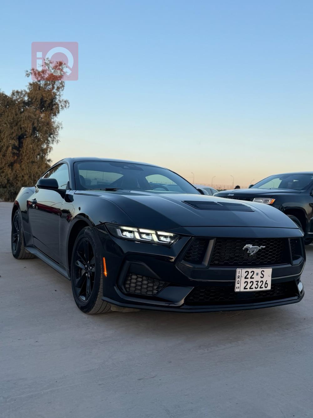 فورد موستانج